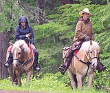 Glacier Park records higher visitation