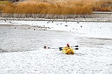 Firefighters rescue dogs from Moses Lake