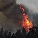 Wildfires top 2007 stories