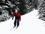 Snowmobiler hits tree, dies