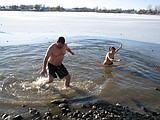 Revelers take the plunge