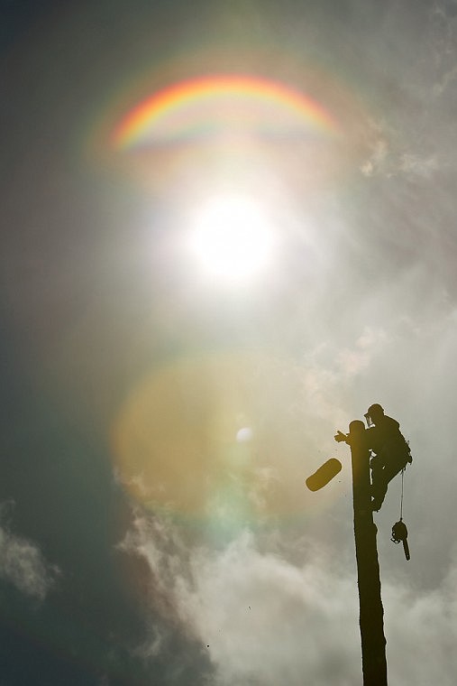 &lt;p&gt;JEROME A. POLLOS/Press Nolan Gaul, with Nolan's Tree Service, drops a portion of a 120-foot pine tree he was falling along Tuesday, April 6 in Post Falls.&lt;/p&gt;