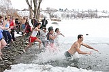 Polar Bear Plunge raises money for animal shelter