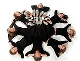 Troupe showcases worldly tap talents