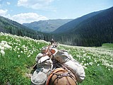 Trail work valued at more than $640,000