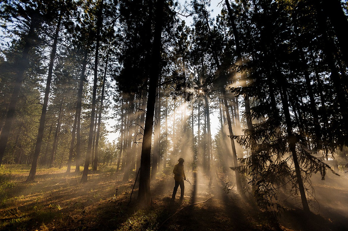 &lt;p&gt;SHAWN GUST/Press&lt;/p&gt;&lt;p&gt;Firefighters with the Coeur d&#146;Alene Fire Department work to contain a small brush fire approximately 80-feet by 30-feet Monday, August 4, 2014 near a residential area west of Courcelles Parkway in Coeur d&#146;Alene. The cause of the fire is under investigation.&lt;/p&gt;