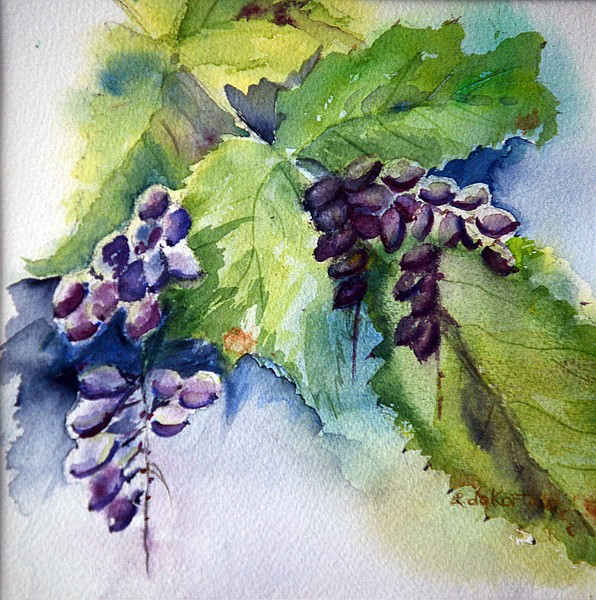 <p>Oregon Grapes by Linda Dekort of Bigfork. (Brenda Ahearn/Daily Inter Lake)</p>