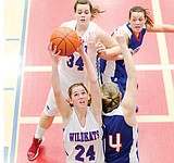 Kats take care of Bigfork at home