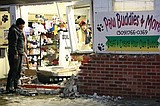 Vehicle crashes into stuffed animal business