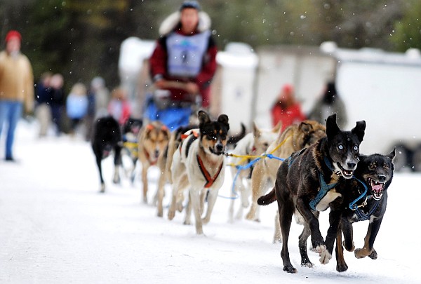 &lt;p&gt;Sam Palfrey of Ouesnel, BC., takes off at the start of the
Flathead Sled Dog Days on Saturday morning in Olney.&lt;/p&gt;