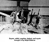 Lindblad tells of early life in "Settling Down"