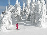 Major winter storm could bring 4-7 feet of snow