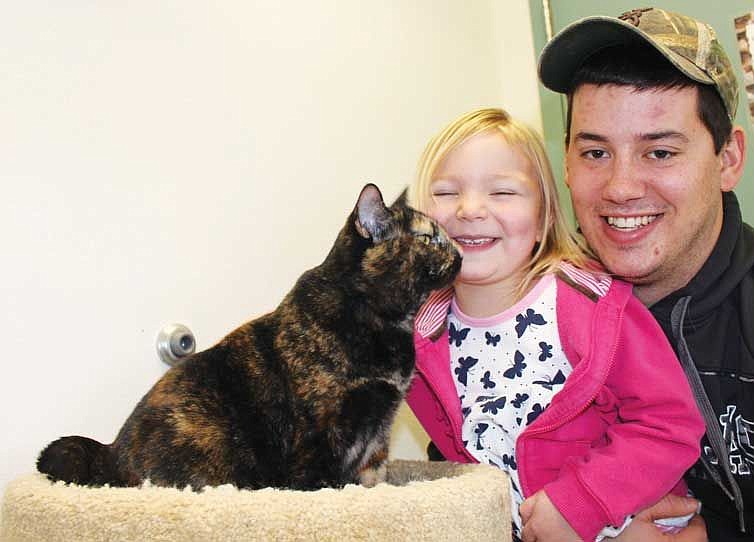 A family plays with a cat at the Quincy Animal Shelter. Shelter director Rachel Lewis said more than 500 cats and dogs moved through the shelter last year.