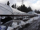 Winter shift frustrates Flathead residents