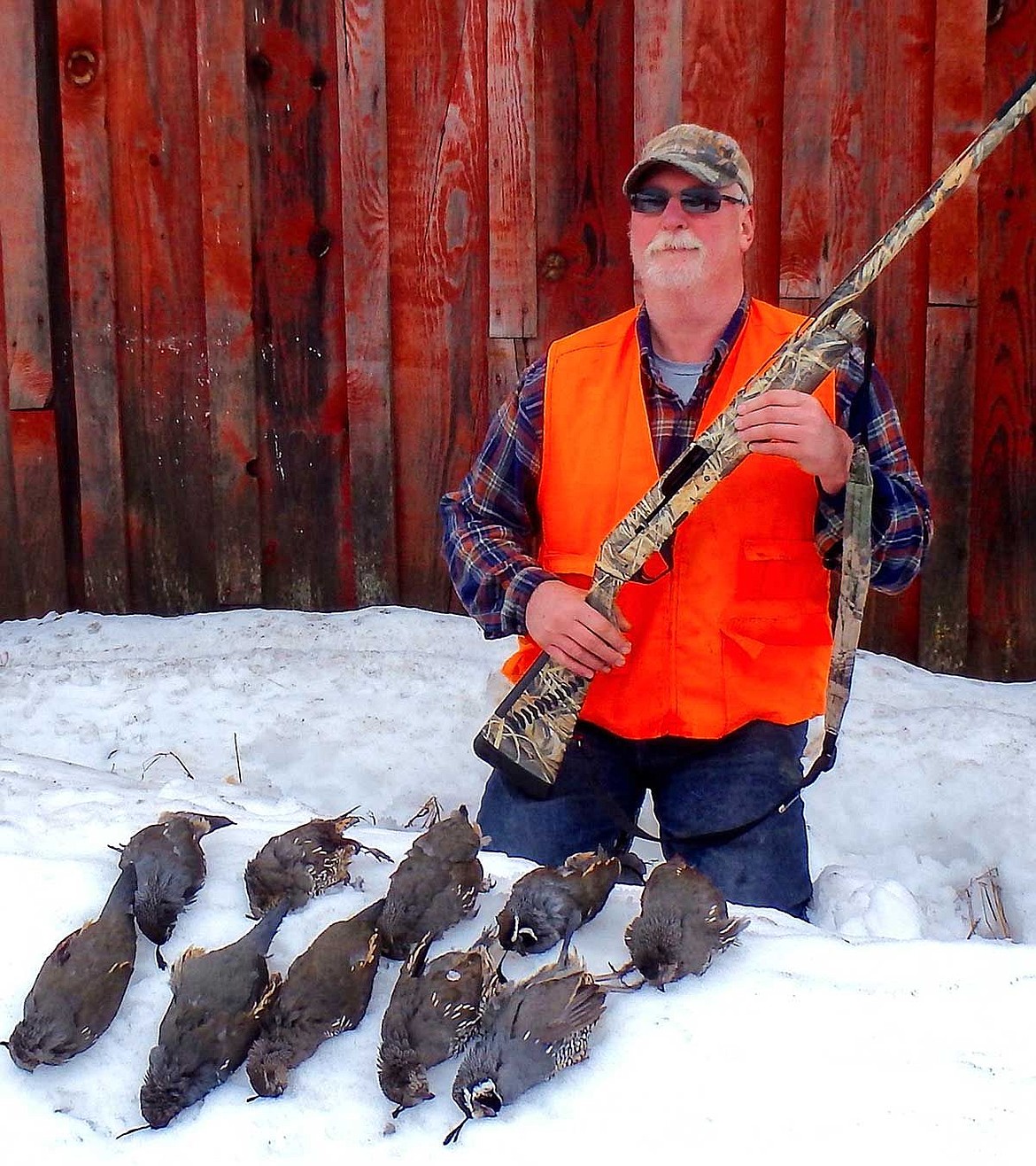 Bill Green, Ephrata, bagged his limit of 10 quail on Wednesday. The hunt, in the Davenport area, produced three limits for hunters, Bill Witt, Bill Green and Dennis Clay.