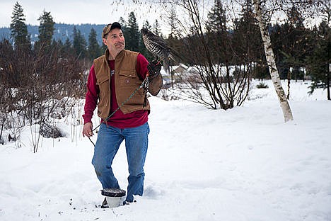 &lt;p&gt;Scott Dinger holds his two-year-old falcon Hannibal at his house on Friday afternoon. Dinger has been a falconer for eight years and recently became a master falconer.&lt;/p&gt;