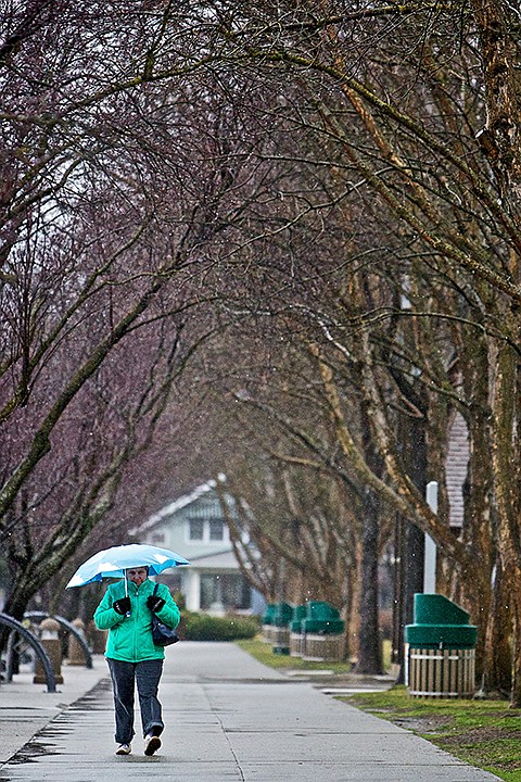 &lt;p&gt;JEROME A. POLLOS/Press Joan Boyd walks under a canopy of bare branches as rain and wind coming off the lake cause a soggy walk to the downtown area Monday.&lt;/p&gt;