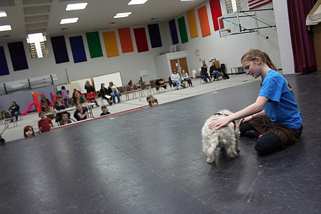 &lt;p&gt;Kiani Klinkefus, playing Annie in the Christian Youth Theater's upcoming production, tests how well a terrier takes direction on Saturday at auditions for the role of Sandy the dog.&lt;/p&gt;