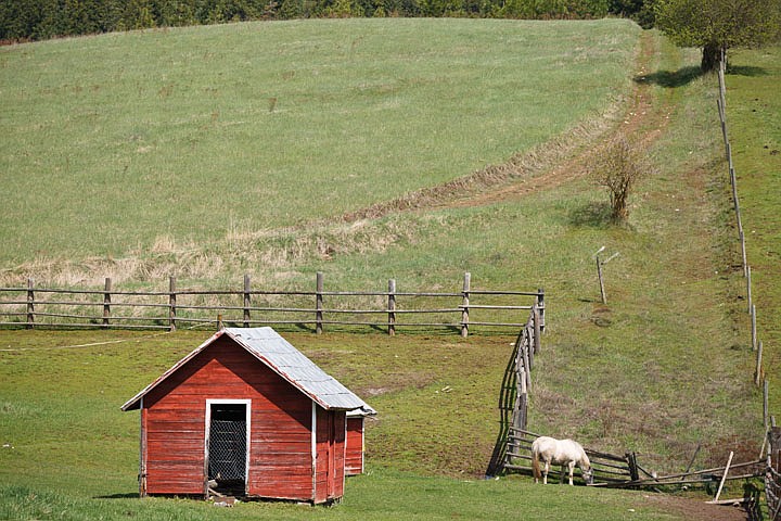 &lt;p&gt;SHAWN GUST/Press A horse grazes near an outbuilding Friday on a ranch in the French Gulch area of Coeur d'Alene.&lt;/p&gt;