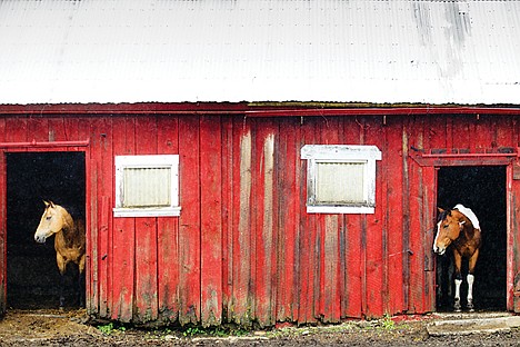 &lt;p&gt;GABE GREEN/Press Two horses take shelter from heavy rain Tuesday afternoon in their stalls off of North Meyer Road on the Rathdrum Prairie.&lt;/p&gt;