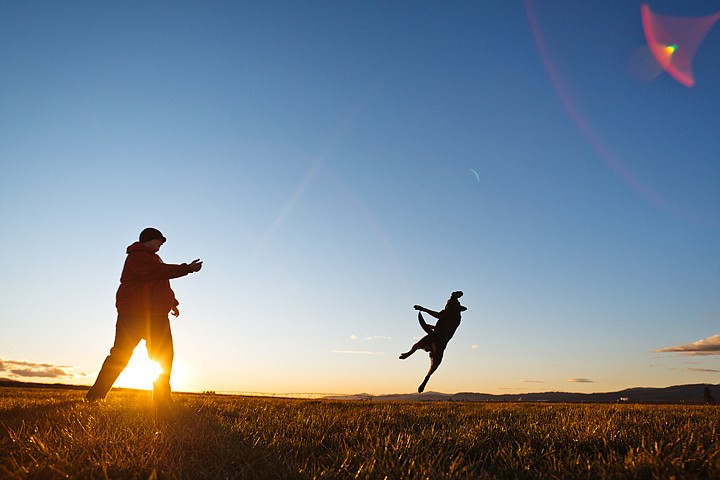 &lt;p&gt;SHAWN GUST/Press A three-year-old blue heeler mix, Daisy, leaps into the air after pet owner Bobby Miller tossed up a play toy Thursday on the Rathdrum Prairie.&lt;/p&gt;