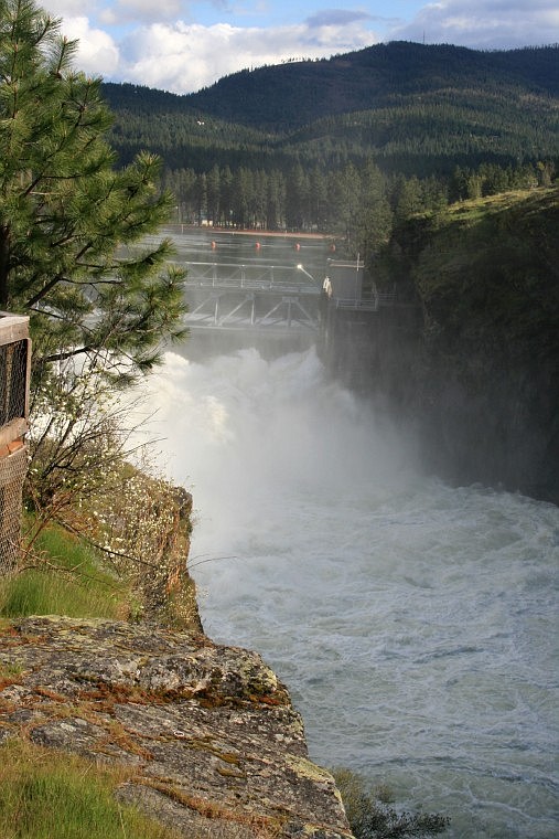 Falls Park view