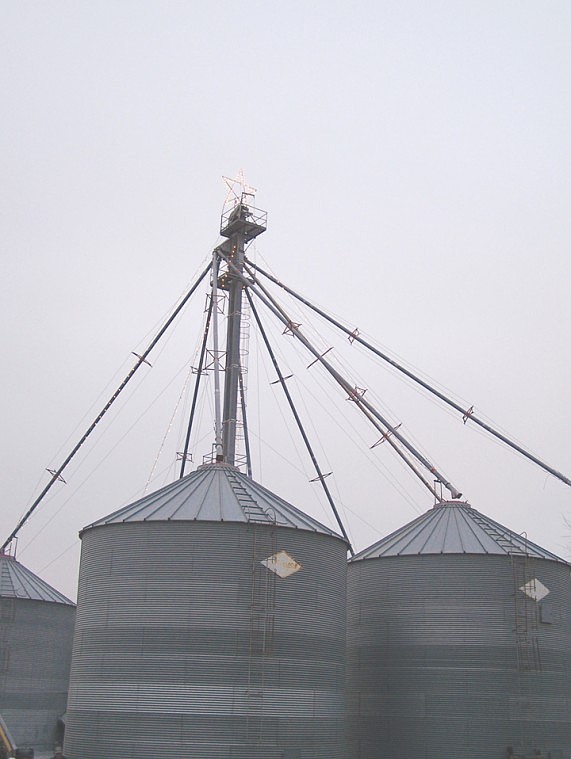 The Wardenaar family erected the star that won "Biggest" atop a
grain silo, 100 feet off the ground. It included long rays that
extended toward the ground.