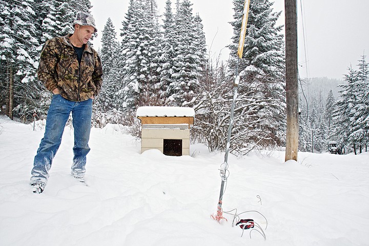 &lt;p&gt;JEROME A. POLLOS/Press Gary Finney looks over the area Wednesday where his sister's dog was attacked by wolves near the Blue Creek area five miles east of Coeur d'Alene.&lt;/p&gt;