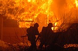 Fire damages home, kills dog