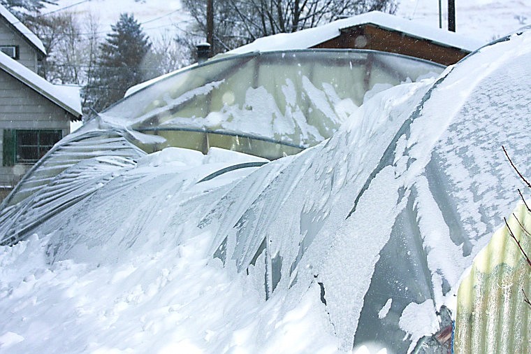 &lt;p&gt;What's left of the greenhouse next to the Mangy Moose Mercantile
after the roof collapsed on January 19 due to the heavy
snowfall.&lt;/p&gt;