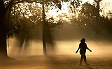 NOAA: Another hot year