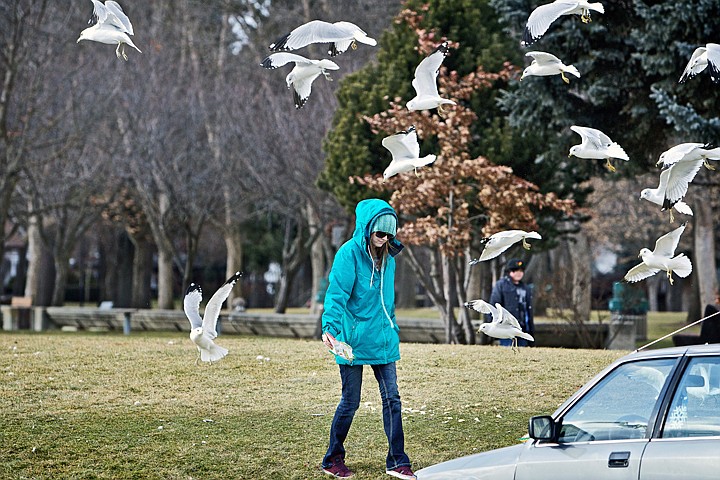 &lt;p&gt;JEROME A. POLLOS/Press Siobhan Curet walks back to her car after feeding a flock of seagulls Monday at Independence Point.&lt;/p&gt;