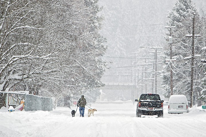 &lt;p&gt;JEROME A. POLLOS/Press A man walks his two dogs along Pennsylvania Avenue in Coeur d'Alene as the snow continues to fall in the recent storefront Friday.&lt;/p&gt;