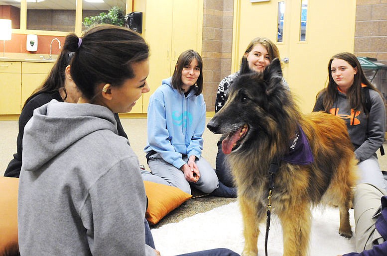 &lt;p&gt;A group of Glacier students sits with Belgian shepherd Brenner during lunch after a finals session on Thursday. (Aaric Bryan/Daily Inter Lake)&lt;/p&gt;