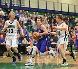 Cats find their groove, thump Bulldogs