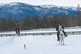 Rookies welcome for skijoring