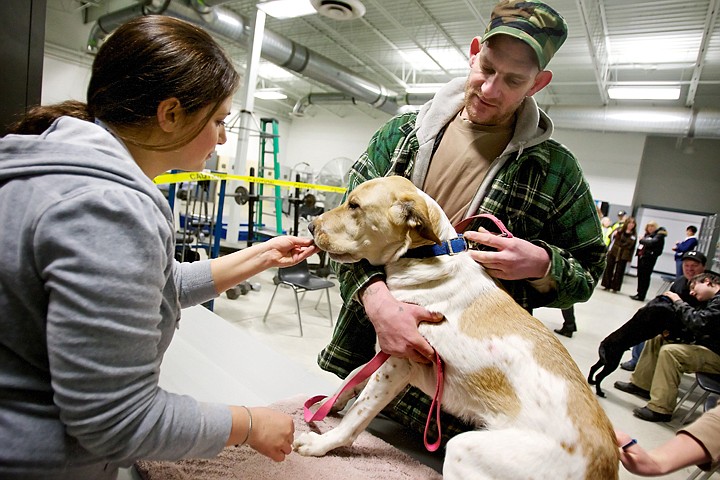 &lt;p&gt;Tom DeShazer calms one of his family's dogs as Serena Streeper, a volunteer Prairie Animal Hospital's on-site clinic, offers the dog a treat Thursday at Project Homeless Connect at the National Guard Armory in Post Falls.&lt;/p&gt;