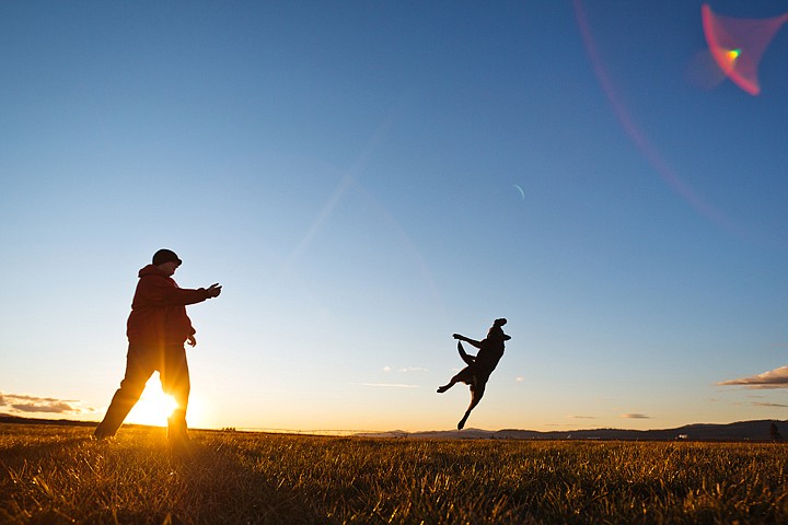 &lt;p&gt;SHAWN GUST/Press A three-year-old blue heeler mix, Daisy, leaps into the air after pet owner Bobby Miller tossed up a play toy Thursday, January 5, 2012 on the Rathdrum Prairie.&lt;/p&gt;