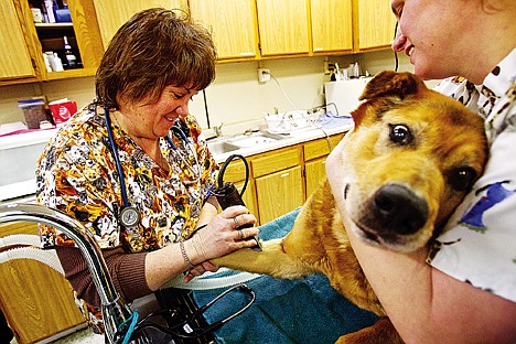 &lt;p&gt;Colette Bergam, a veterinarian at Kootenai Humane Society, prepares a dog for surgery Thursday with the assistance of Jessica Dowler.&lt;/p&gt;