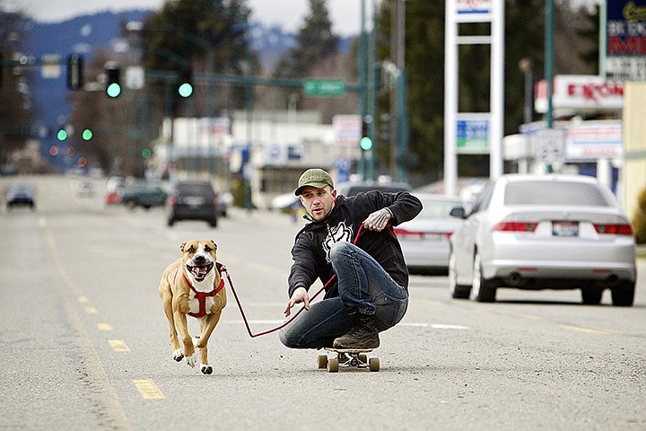 &lt;p&gt;JEROME A. POLLOS/Press Nicholas Mattison keeps an eye on his dog Zoey Waddles as she pulls him down Sherman Avenue on his skateboard Monday February, 12 in downtown Coeur d'Alene. Mattison rescued his dog last year&#160;and takes her out for &quot;pulls&quot; two to three times a day. &quot;She can't get enough of it,&quot; Mattison said about his pet. &quot;I have five kids and they're always having her pull them in something.&quot;&lt;/p&gt;