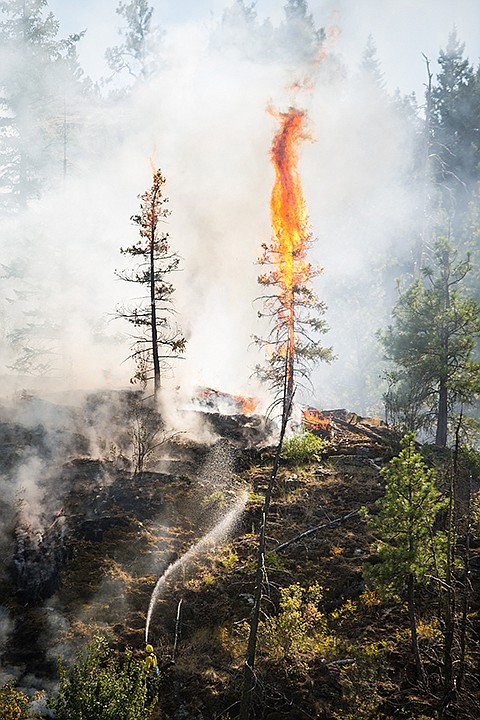 &lt;p&gt;SHAWN GUST/Press A firefighter sprays water onto a burning tree Monday, July 22, 2013 as crews from several area agencies responded to a wildland fire near Q'Emiln Park in Post Falls.&lt;/p&gt;