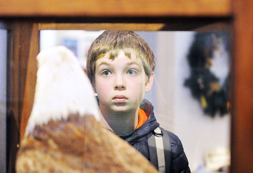 &lt;p&gt;&lt;strong&gt;Bigfork Middle School&lt;/strong&gt; eighth-grader Corwin Way critiques the bald eagle exhibit during a field trip to the Museum at Central School for National History Day studies on Jan. 20. (Aaric Bryan/Daily Inter Lake)&lt;/p&gt;