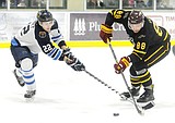 Wolverines check Blue