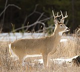 FWP Commission to look at raising hunting, fishing fees