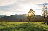 Wilderness talks on tap