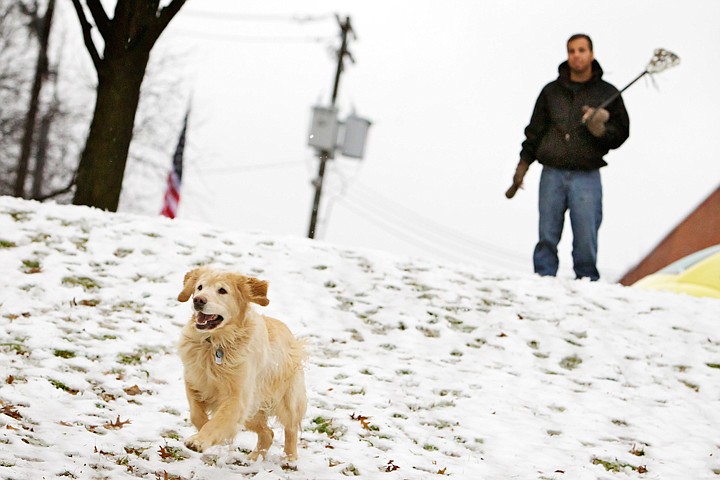 &lt;p&gt;JEROME A. POLLOS/Press Octavian Rivas watches his golden retreiver Baxter race down the snowy slope of McEuen Park after tossing a ball with his lacrosse stick Friday.&lt;/p&gt;