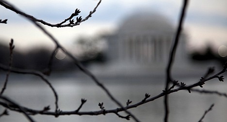 &lt;p&gt;The Thomas Jefferson Memorial is seen across the Tidal Basin as buds form on the branches of cherry trees, Wednesday, Feb. 1, 2012, in Washington. Snow seems to be missing in action this winter for much of the United States. This January was the third weakest month on record for snow covering the ground for the U.S. Lower 48, according to the Global Snow Lab at Rutgers University. Records go back to 1967. Two years ago more than two-thirds of the Lower 48 was covered in snow. Last year, it was 52 percent as a billion-dollar blizzard barreled through. This year, it's only 19 percent. Forget snow, for much of the country there's not even a nip in the air. On Tuesday, all but a handful of states had temperatures hitting the 50s or higher. (AP Photo/Carolyn Kaster)&lt;/p&gt;