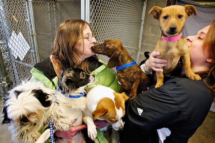 &lt;p&gt;Mary Powell, an adoption canine specialist, left, and Rondi Renaldo, the executive director at Kootenai Humane Society hold the five dogs that were rescued Monday from the Humane Society of Central Washington in Yakima. The small dogs were scheduled to be euthanized Tuesday at the shelter in Yakima, prompting Renaldo to rescue the animals due to the high demand for small dogs in Kootenai County.&lt;/p&gt;