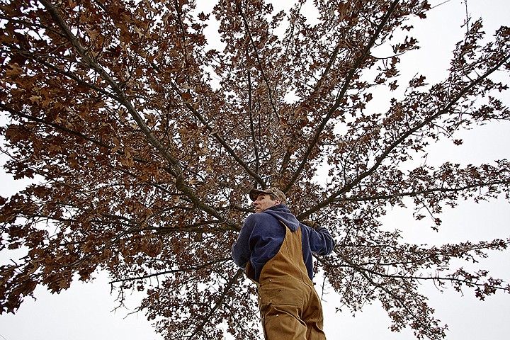 &lt;p&gt;JEROME A. POLLOS/Press Larry Harwood checks the area behind him before sawing a branch off of a tree Thursday at Lake City High. The Coeur d'Alene School District maintenance and grounds crew took advantage of the break in winter weather to take on some landscaping duties before spring.&lt;/p&gt;