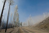 North Fork paving on the radar, again
